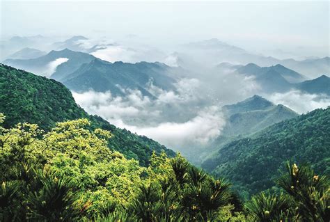 浙江天目山天池|浙江天目山国家级自然保护区